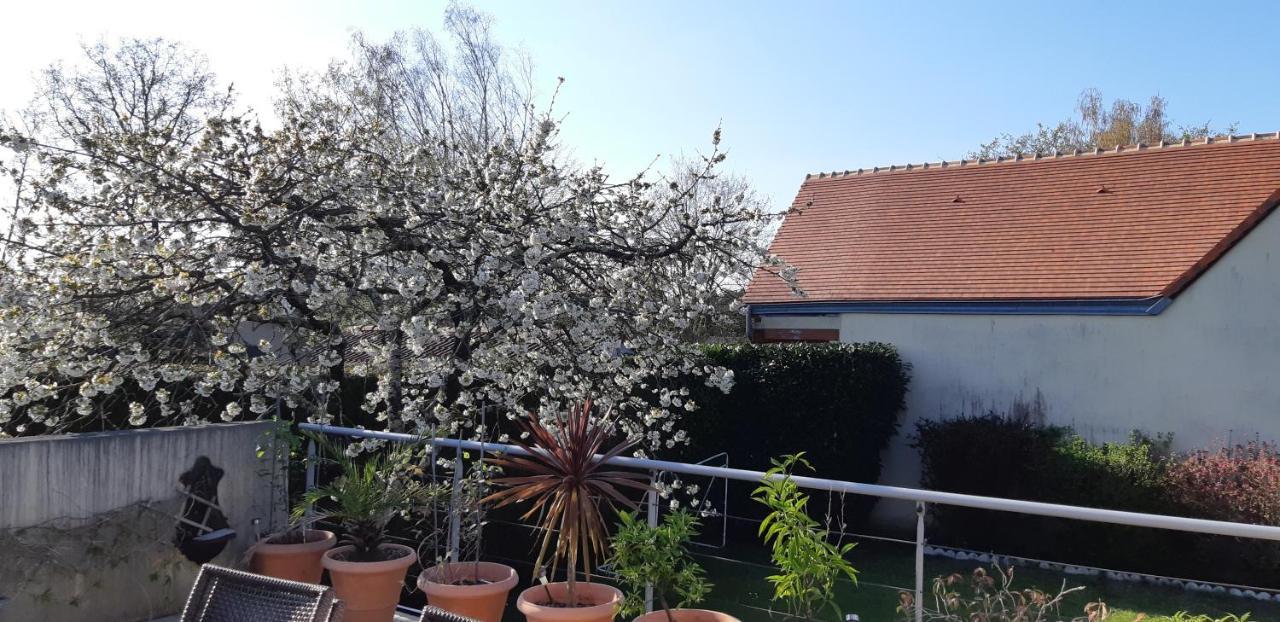 Chambre D'Hote - La Ruche Des Bleuets Mulsanne Exterior foto